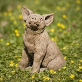 Photo of Campania Perky Pig - Exclusively Campania